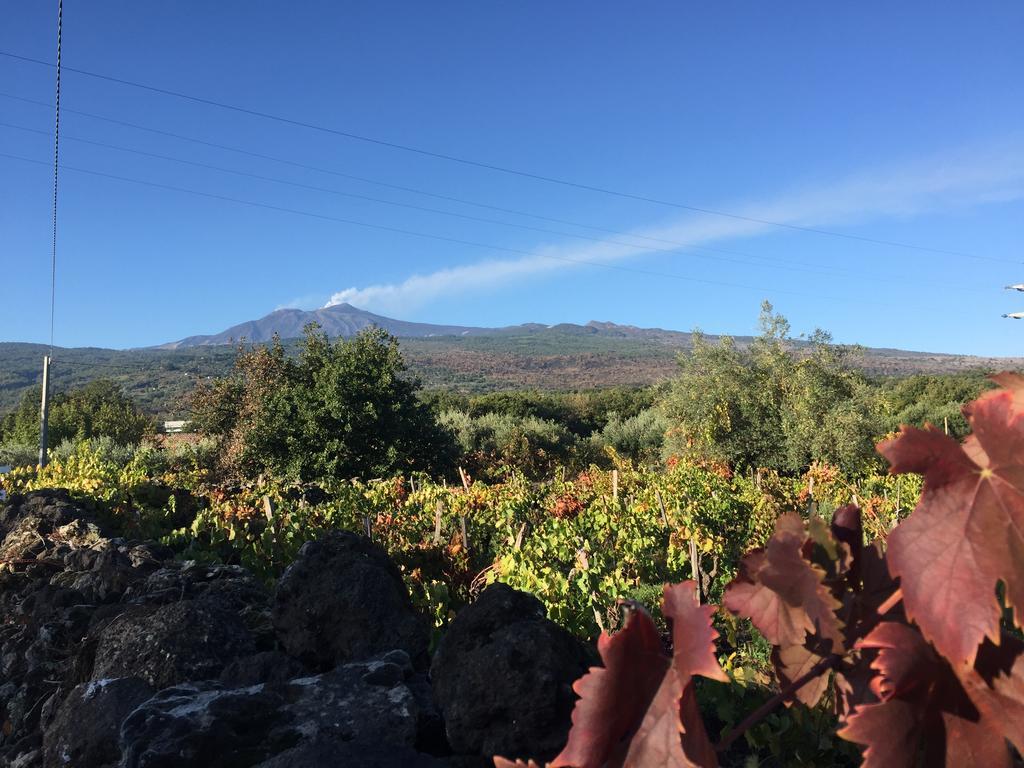 ホテル Etna Vintage リングアグロッサ エクステリア 写真